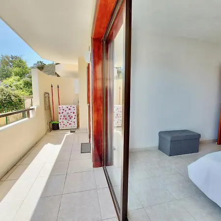 Cardon By Tor * Puerto de la Cruz (Tenerife)